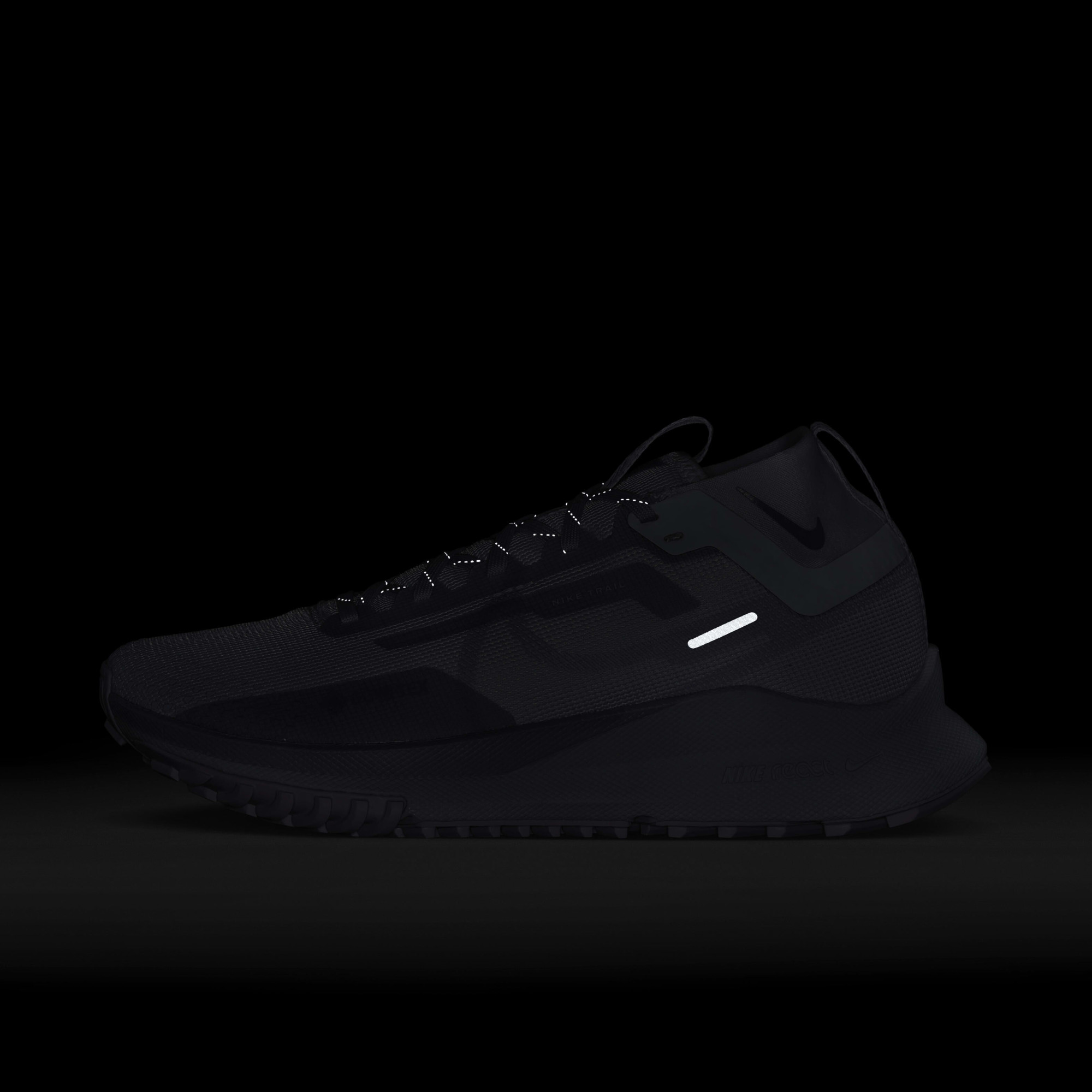 Кросівки Nike react pegasus trail 4 GTX DJ7929-501