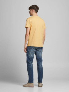 Футболка JORREGGIE TEE SS CREW NECK 12189836 Sahara Sun-JJ PRINT Jack&Jones L Жовтий 12189836SAHARASUN-JJ PRIN