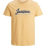 Футболка JORREGGIE TEE SS CREW NECK 12189836 Sahara Sun-JJ PRINT Jack&Jones L Жовтий 12189836SAHARASUN-JJ PRIN