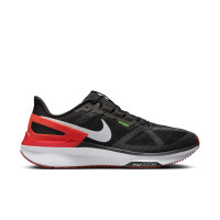Кросівки Nike Air Zoom Structure 25 DJ7883-012