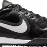 Кросівки Nike THE PREMIER IV TF FV5971-002