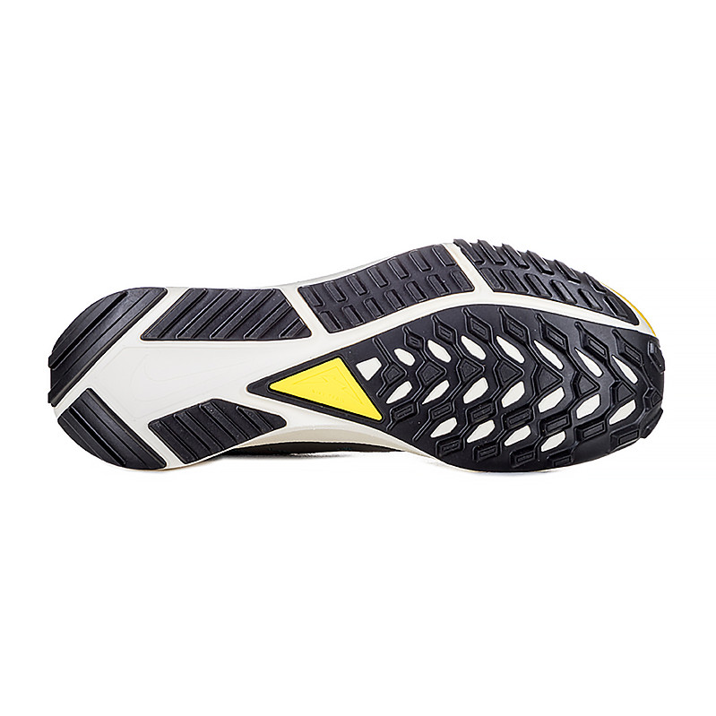 Кросівки бігові Nike REACT PEGASUS TRAIL 4 GTX FD0317-333