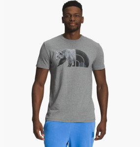 Футболка чоловіча The North Face Half Dome NF0A812PDYY1