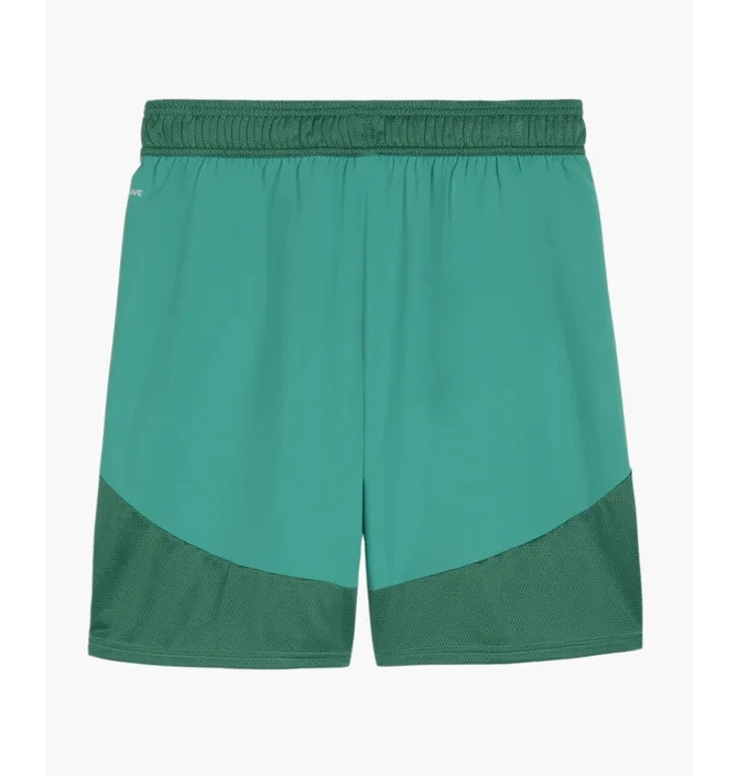 Шорти Puma teamFINAL Shorts 705743-05