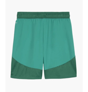 Шорти Puma teamFINAL Shorts 705743-05