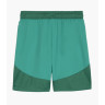 Шорти Puma teamFINAL Shorts 705743-05