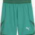 Шорти Puma teamFINAL Shorts 705743-05
