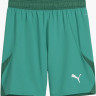 Шорти Puma teamFINAL Shorts 705743-05