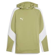 Худі Puma teamEVOSTRIPE Hoody 659954-40