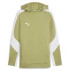 Худі Puma teamEVOSTRIPE Hoody 659954-40 Худі Puma teamEVOSTRIPE Hoody 659954-40