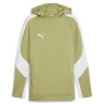 Худі Puma teamEVOSTRIPE Hoody 659954-40