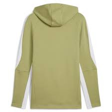 Худі Puma teamEVOSTRIPE Hoody 659954-40