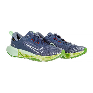 Кросівки Nike JUNIPER TRAIL 2 GTX FB2067-403