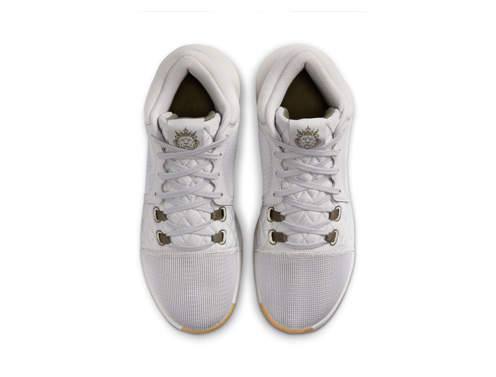 Кросівки NIKE LEBRON WITNESS VIII GREY FB2239-003