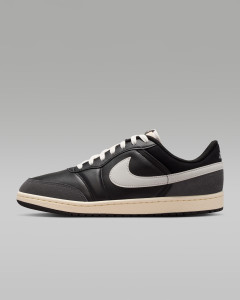 Кросівки Jordan AIR SKYLINE LOW LE IQ6425-001