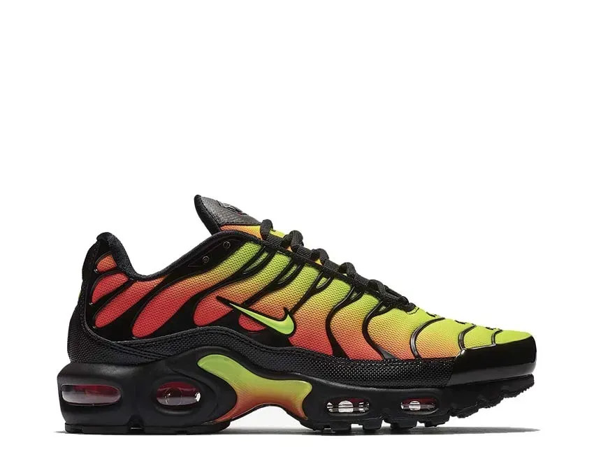 Кросівки Nike Air Max Plus AQ9979-001