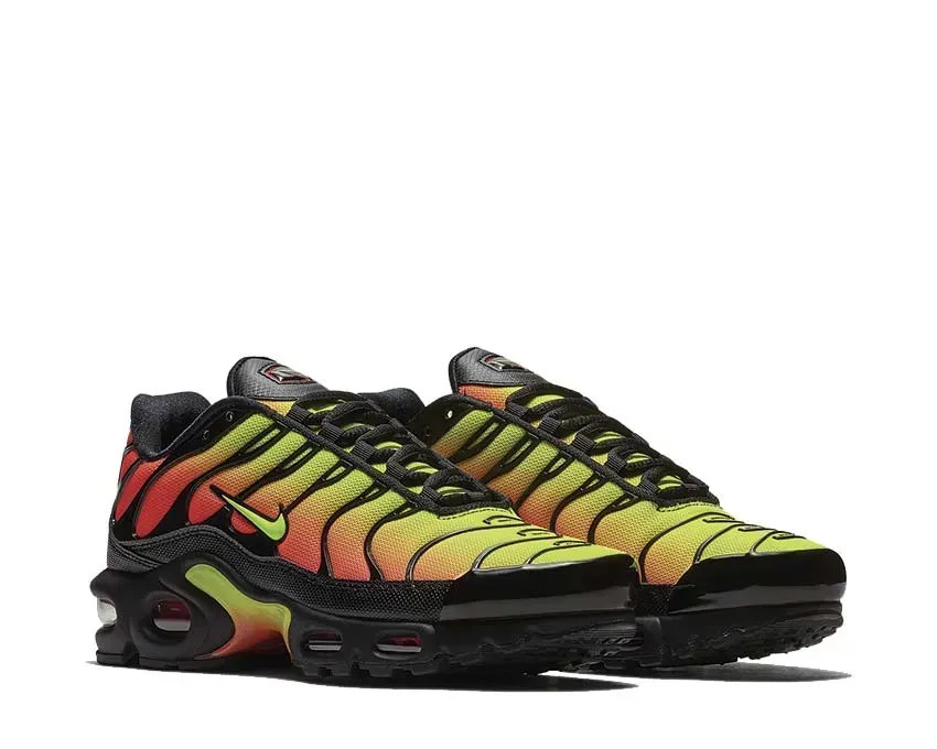 Кросівки Nike Air Max Plus AQ9979-001