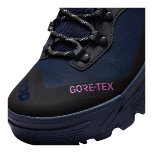 Черевики Nike ACG Zoom Gaiadome Gore Tex DD2858-401