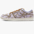 Кросівки Nike SB Dunk Low Premium City of Style FN5880-001