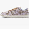 Кросівки Nike SB Dunk Low Premium City of Style FN5880-001