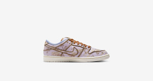 Кросівки Nike SB Dunk Low Premium City of Style FN5880-001