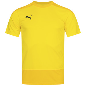 Футболка PUMA teamGOAL Men's Training Jersey 656482-07