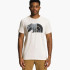 Футболка чоловіча The North Face Half Dome NF0A812PR8R1