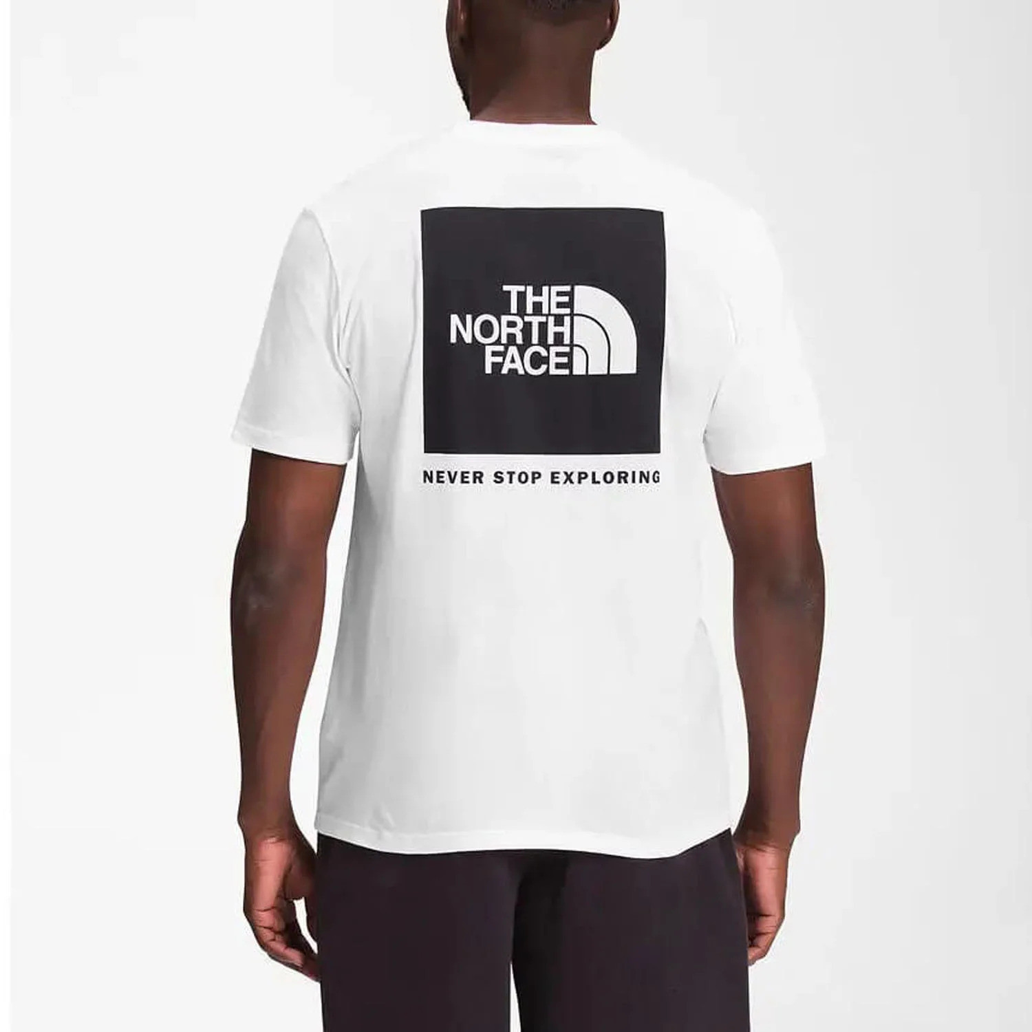 Футболка THE NORTH FACE T-SHIRT WHITE NF0A812HLA91