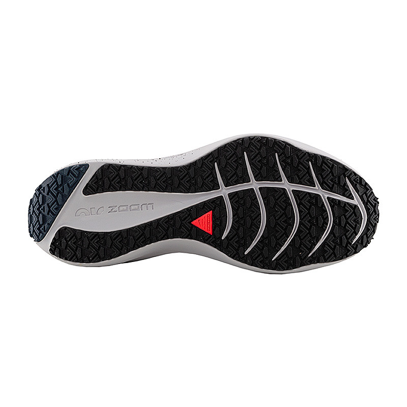Кросівки бігові Nike  ZOOM WINFLO 8 SHIELD DC3727-001
