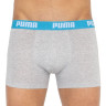 Труси-боксери Puma BASIC BOXER 2P сірий, жовтий Чол XL 521015001-006