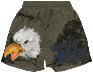Шорти Travis Scott Fragment зеленые TRAVIS SCOTT FRAGMENT