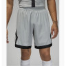 Шорти Air Jordan Dri-Fit Adv Paris Saint-Germain 2022/23 DJ7699-077