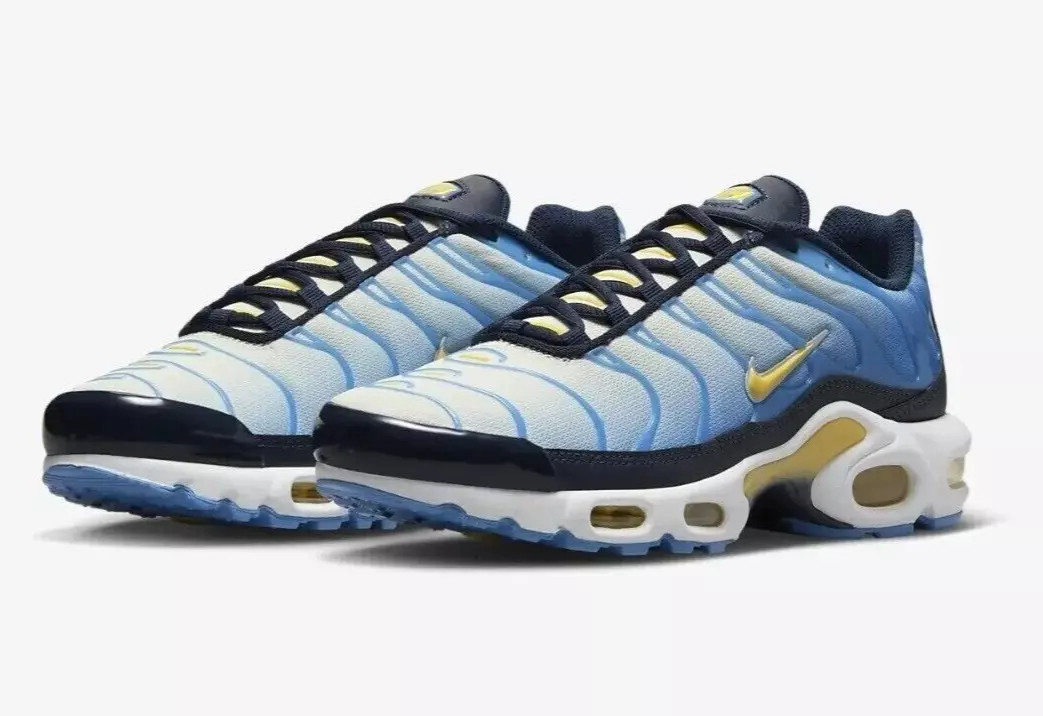 Кросівки жіночі Nike Air Max Plus Blue FD9871-400