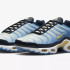 Кросівки жіночі Nike Air Max Plus Blue FD9871-400