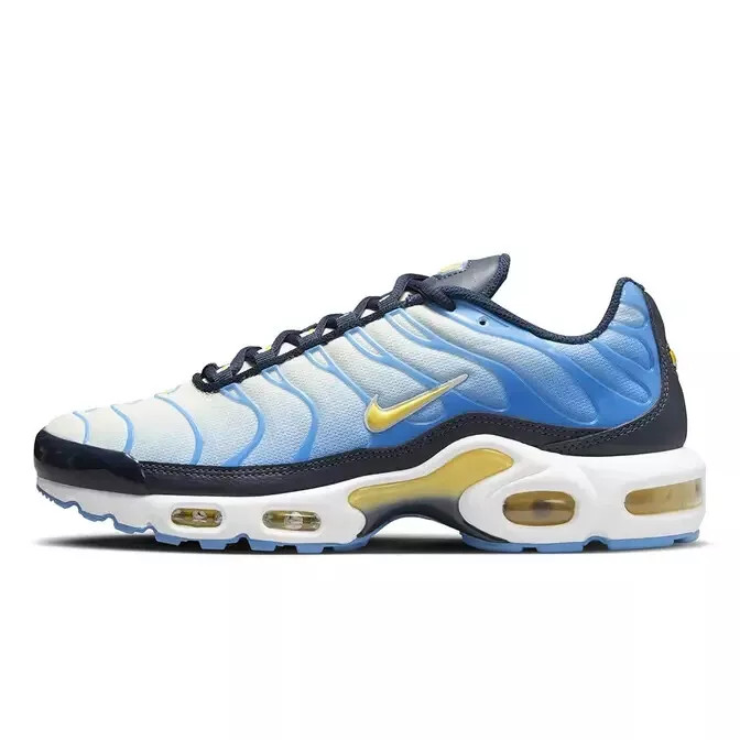 Кросівки жіночі Nike Air Max Plus Blue FD9871-400