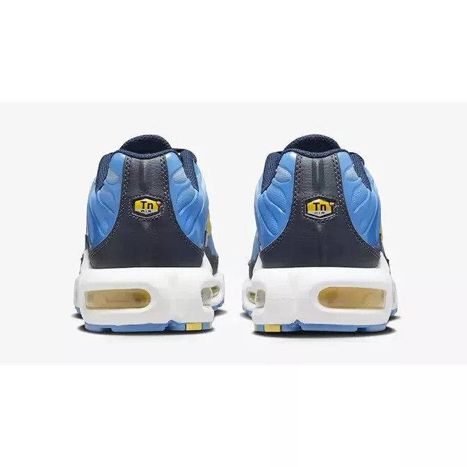Кросівки жіночі Nike Air Max Plus Blue FD9871-400