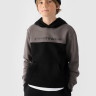 Джемпер флісовий дитячій SWEATSHIRT M1222 4FJWAW24TSWSM1222-20S 4F 4FJWAW24TSWSM1222-20S