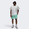 Шорти чоловічі Air Jordan Essentials Shorts Green FN4647-349