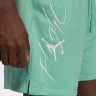 Шорти чоловічі Air Jordan Essentials Shorts Green FN4647-349