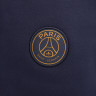 Штани чоловічі Nike Paris Saint-Germain Tech Fleece Blue DV4836-498