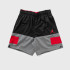 Шорти Jordan Dri-Fit Air Statement Shorts CZ4766-010