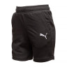 Шорти Puma Teamgoal23 65671203