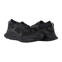 Кросівки бігові Nike Pegasus Trail 3 Gore-Tex DC8793-001