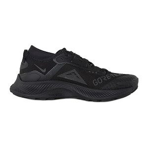 Кросівки бігові Nike Pegasus Trail 3 Gore-Tex DC8793-001