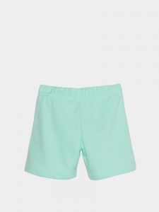 Шорти ігрові Nike G NSW CLUB FT 5 IN SHORT DA1405-379