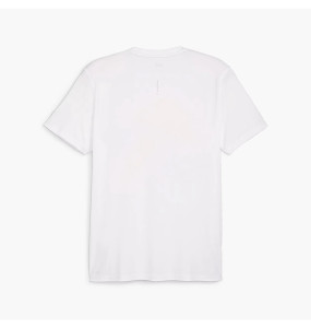 Футболка Puma RUN FASTER ICONS GRAPHIC TEE 525000-02