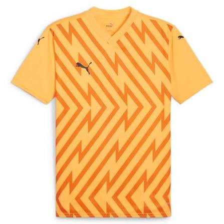 Футболка Puma teamGLORY Jersey 705740-61