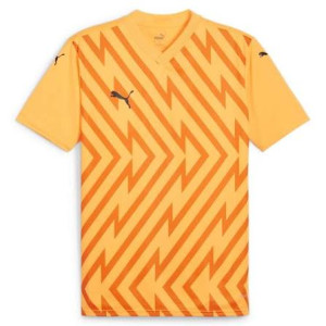 Футболка Puma teamGLORY Jersey 705740-61
