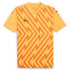 Футболка Puma teamGLORY Jersey 705740-61