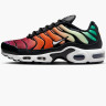 Кросівки Nike Air Max Plus Rainbow (W) DZ3670-001